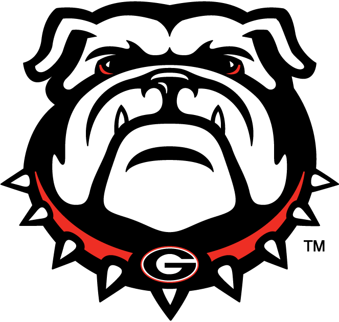 Georgia Bulldogs 2013-Pres Secondary Logo diy iron on heat transfer...